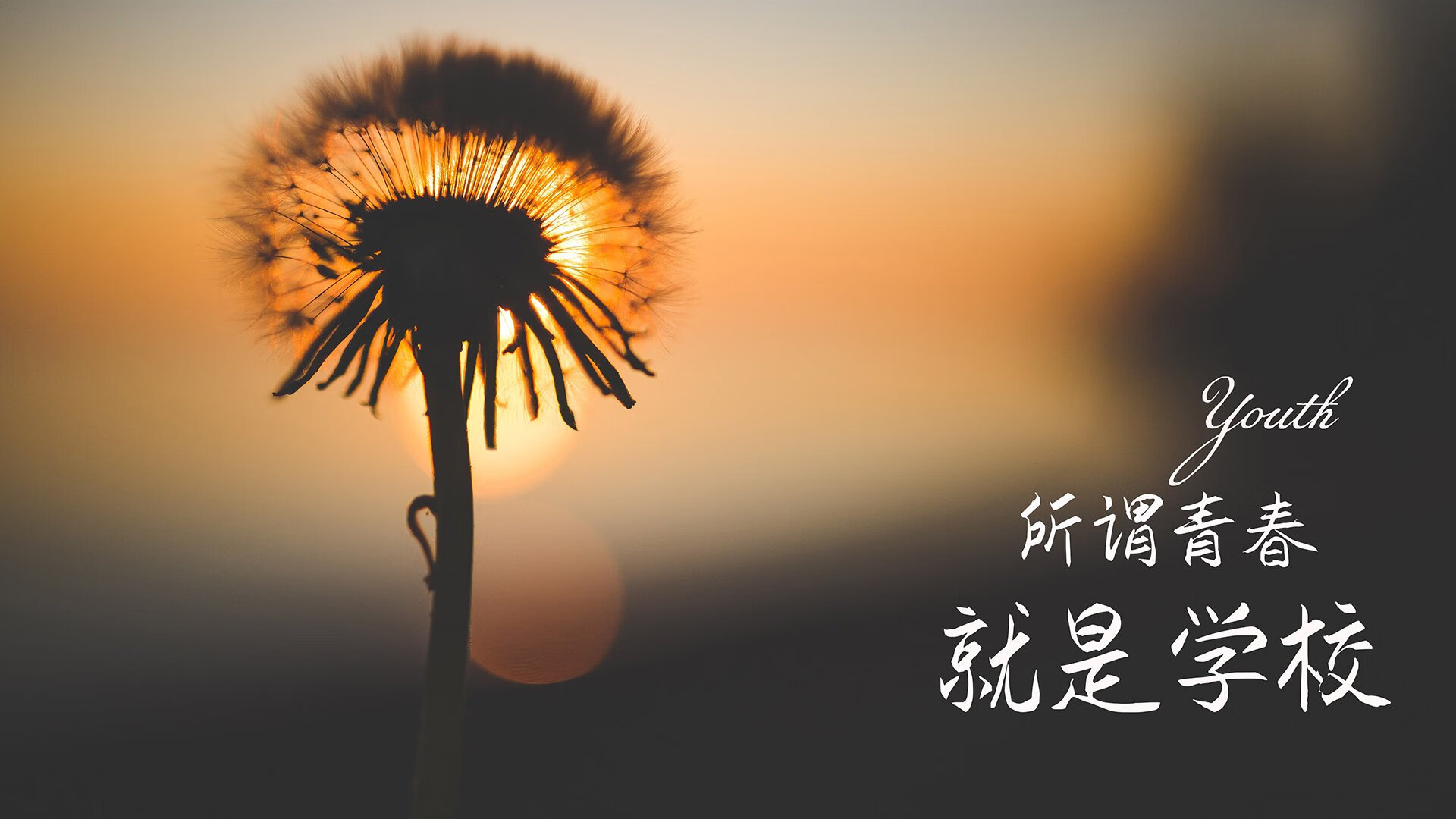 库里：带领勇士开启“水花奇迹”时代！，库里花心