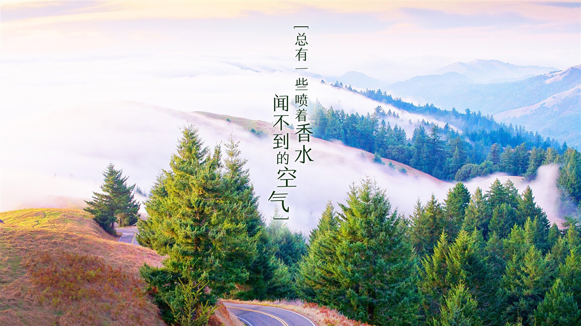 瑞士马术协会设立马匹福利基金，支持马匹退休生活。，瑞典马术队
