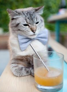 瑞士队在比赛场上展现出出色的防守表现,瑞士防守能力