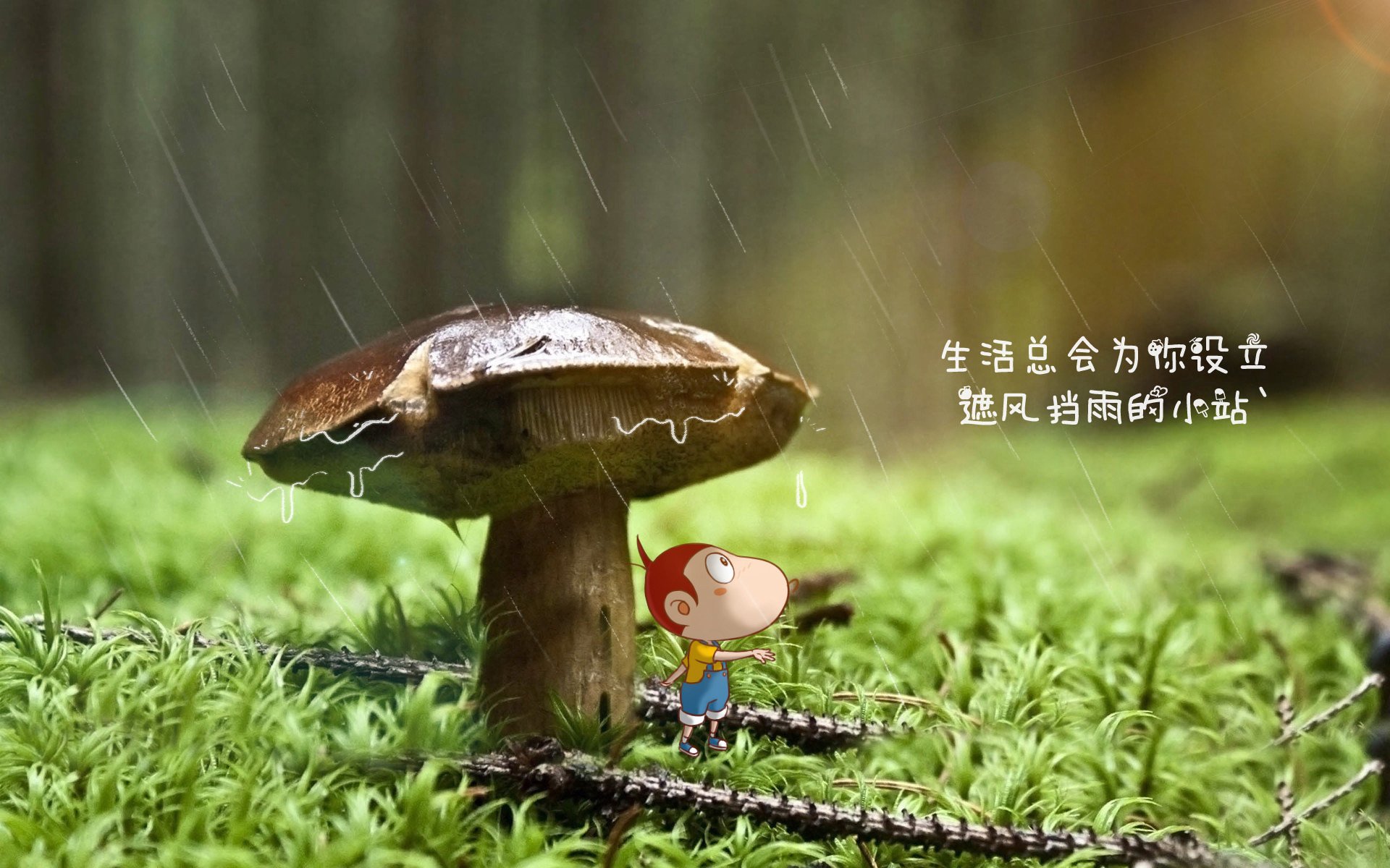 拉文失误频发公牛终结连败，拉文31分率公牛取季前赛四连胜