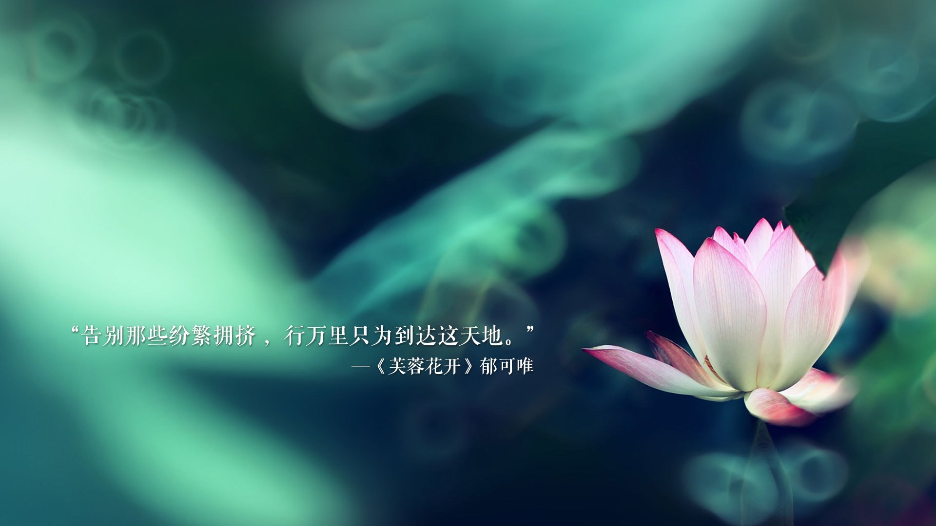 校园足球设置轮岗制度锻炼学生多岗位参与能力，校园足球工作