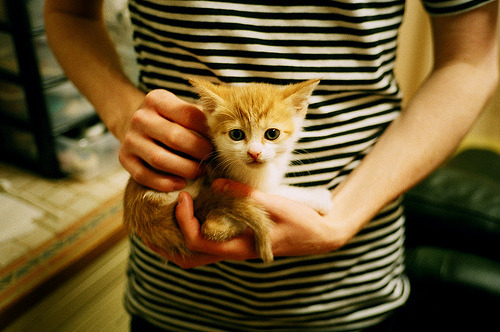 英国男子4×200米自由泳接力展现未来潜力,男子4×200米自由泳世界纪录