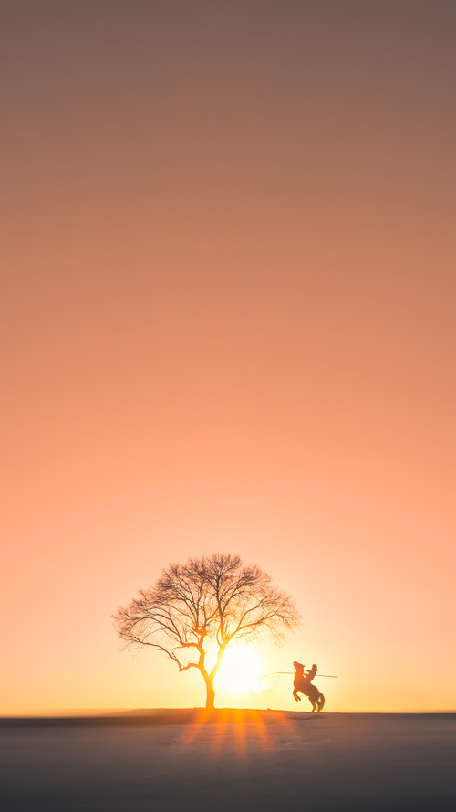 足球赛事直播技术创新，观赛体验升级，足球赛事直播软件哪个好