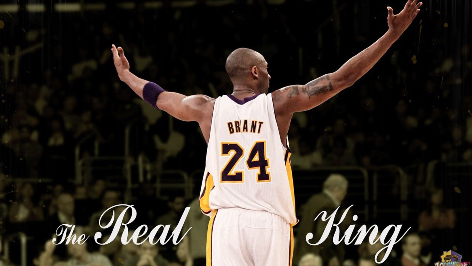 比利时骑手格里高利·瓦特莱特在2024年国际马术联合会障碍赛世界巡回赛中获得个人第五名,展现坚韧精神。